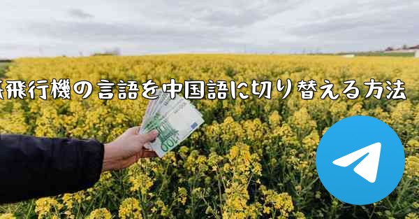 紙飛行機の言語を中国語に切り替える方法