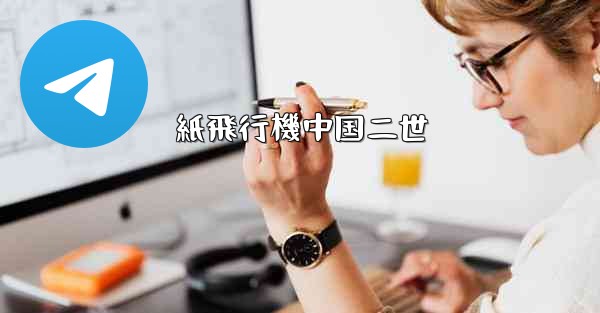 <b>紙飛行機中国二世</b>