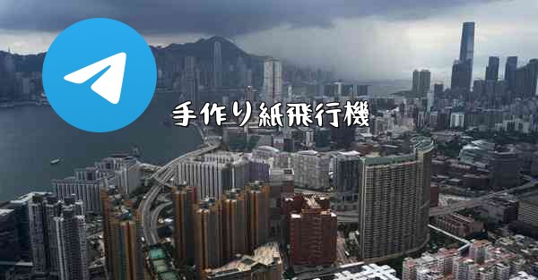 手作り紙飛行機