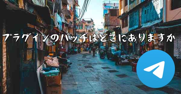 <b>Paper Plane プラグインのパッチはどこにありますか</b>