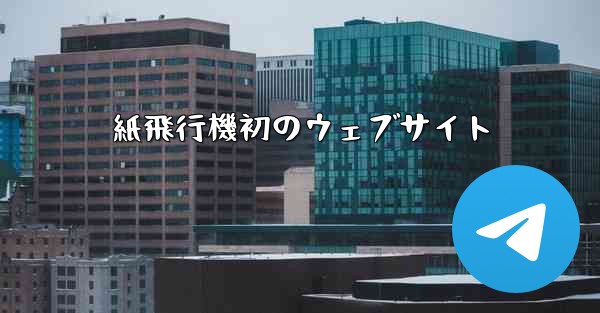 <b>紙飛行機初のウェブサイト</b>