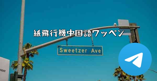 <b>紙飛行機中国語ワッペン</b>