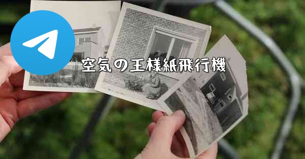空気の王様紙飛行機
