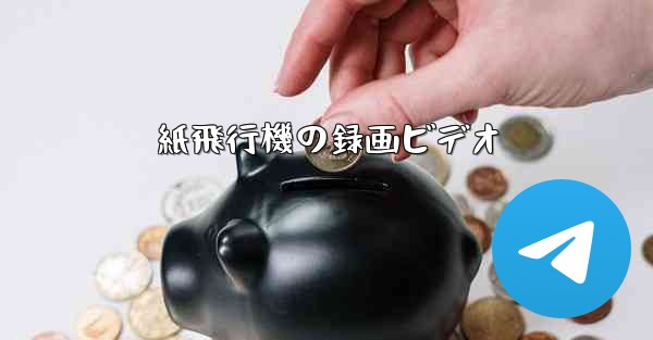 <b>紙飛行機の録画ビデオ</b>