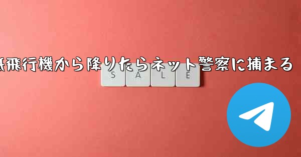 紙飛行機から降りたらネット警察に捕まる