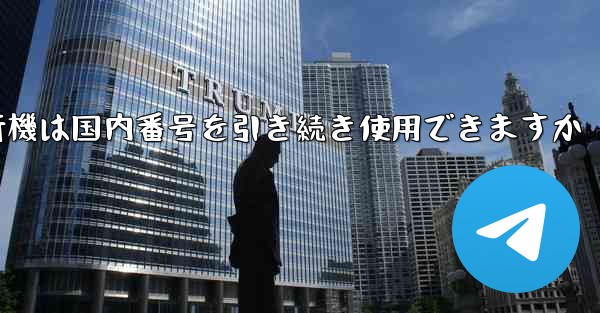 紙飛行機は国内番号を引き続き使用できますか