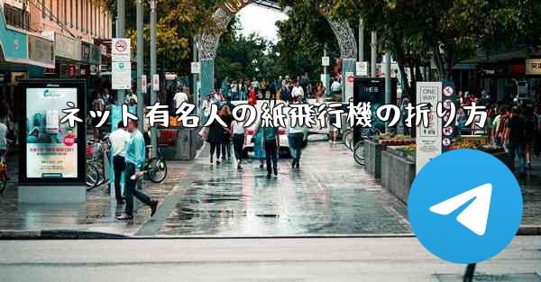 ネット有名人の紙飛行機の折り方