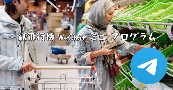 紙飛行機 WeChat ミニ プログラム