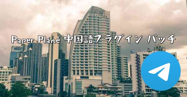 Paper Plane 中国語プラグイン パッチ