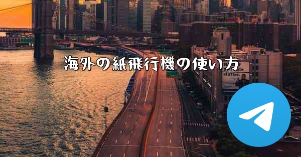 海外の紙飛行機の使い方