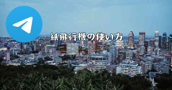 <b>紙飛行機の使い方</b>