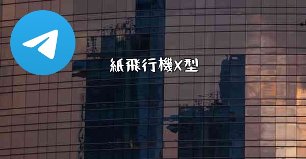 紙飛行機X型