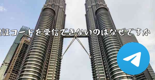 Paper Plane が認証コードを受信できないのはなぜですか