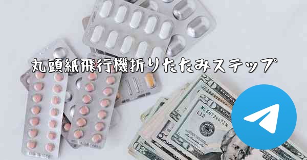 丸頭紙飛行機折りたたみステップ