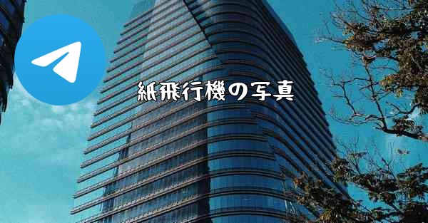 紙飛行機の写真