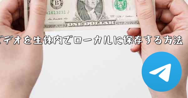 ダウンロードしたビデオを生体内でローカルに保存する方法