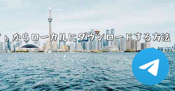 ビデオ全体をステーション b からローカルにダウンロードする方法