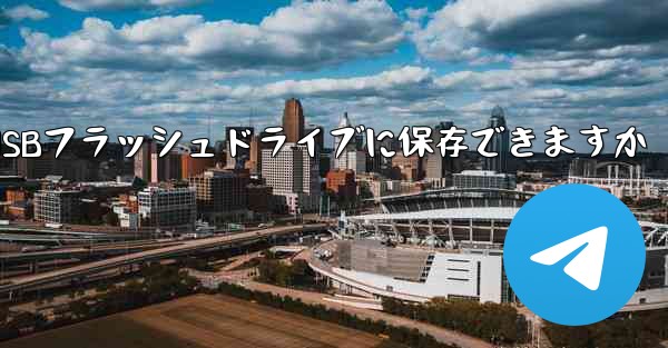 iPadからダウンロードしたビデオはUSBフラッシュドライブに保存できますか
